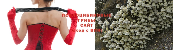 бутират Кодинск