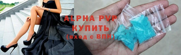 шишки Коряжма