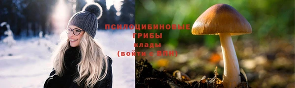 прущие грибы Корсаков