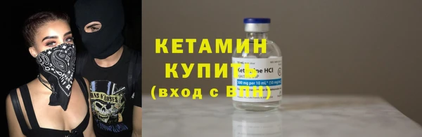 шишки Коряжма