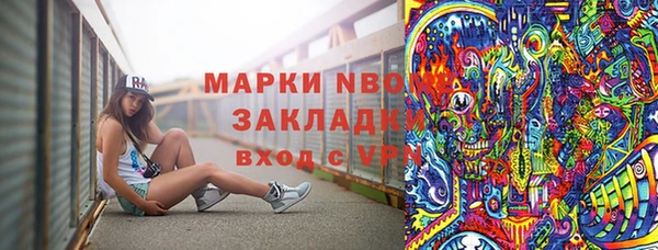 прущие грибы Корсаков