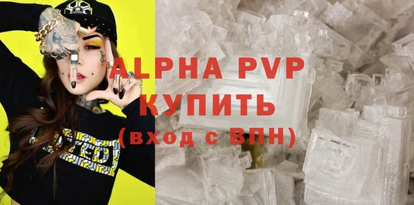 шишки Коряжма