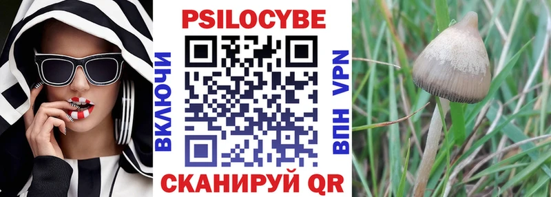 Галлюциногенные грибы мицелий  Ессентуки 