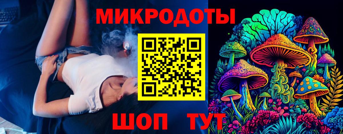 Псилоцибиновые грибы Psilocybine cubensis Ессентуки