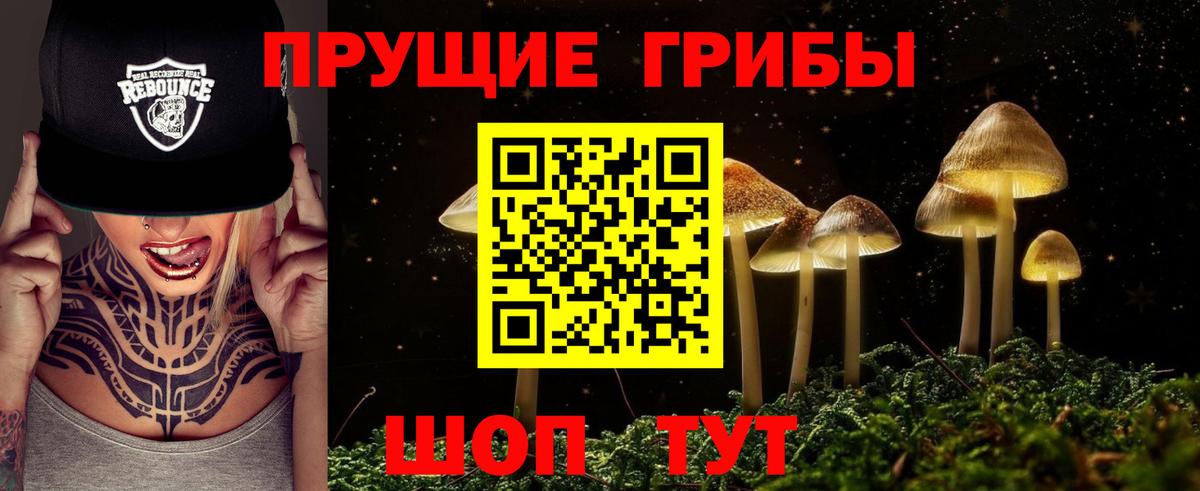наркота  Вход с VPN  Ессентуки  Галлюциногенные грибы Magic Shrooms  Галлюциногенные грибы прущие грибы 