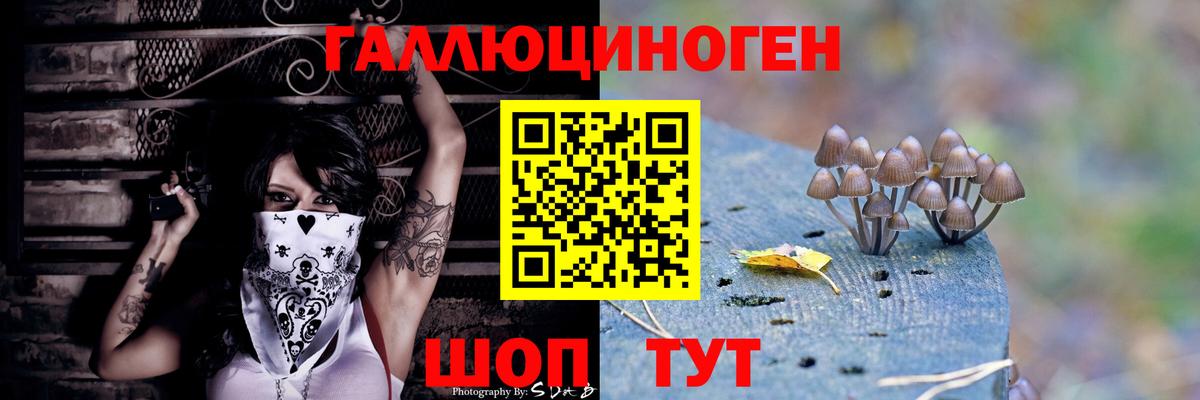 наркота  Ессентуки  Галлюциногенные грибы Psilocybine cubensis 